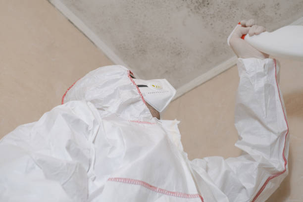 Best Fast Mold Removal  in Metuchen, NJ