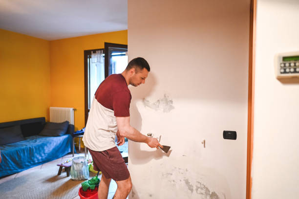 Crawl Space Mold Removal in Metuchen, NJ